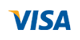 Visa kart logo